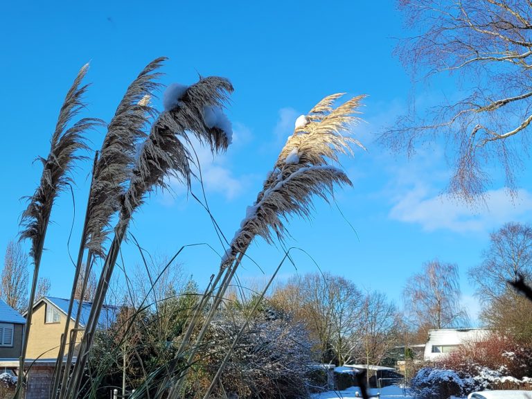 Maanlaarzen en witte wintersprookjes