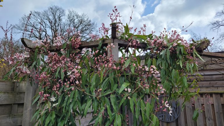 RTV Noord: Emma van Uden heeft 7 vrouwen geïnterviewd onder wie ik