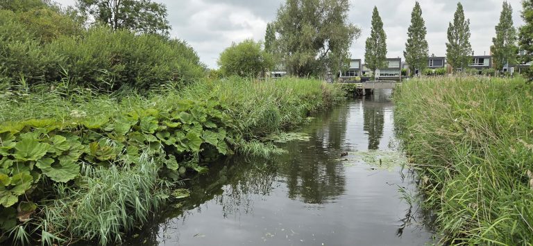 Dubbelinterview met Hilde Geurts